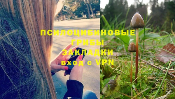 хмурый Заволжск