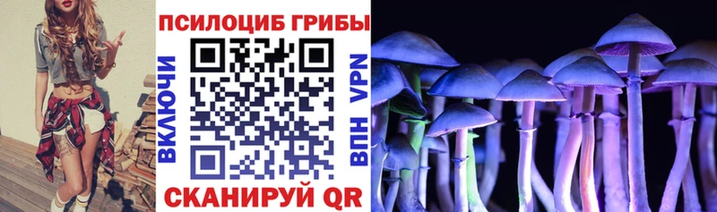 как найти   Холм  Псилоцибиновые грибы прущие грибы 